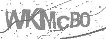visual captcha
